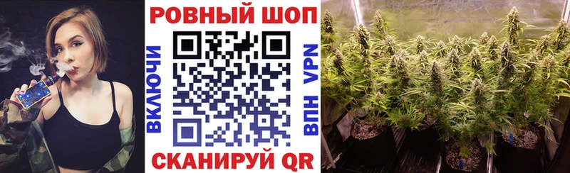Купить закладку Метадон  Кокаин  Меф мяу мяу  ГАШ  Ельня