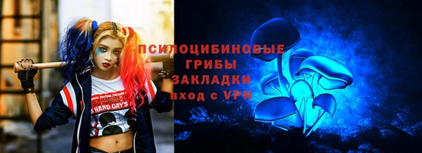 2c-b Армянск