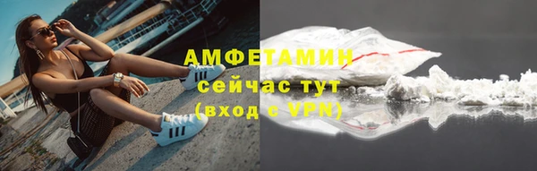 шишки Аркадак