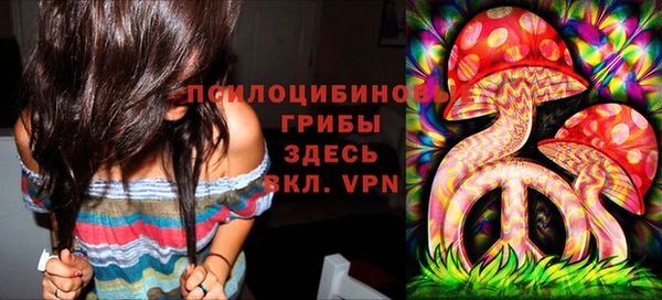 гидра Баксан