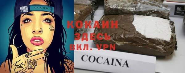 шишки Аркадак