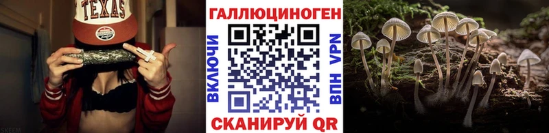 Псилоцибиновые грибы Psilocybine cubensis  Купить где  Ельня 